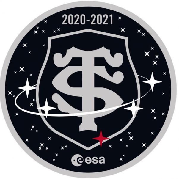 LOGO STADE TOULOUSAIN